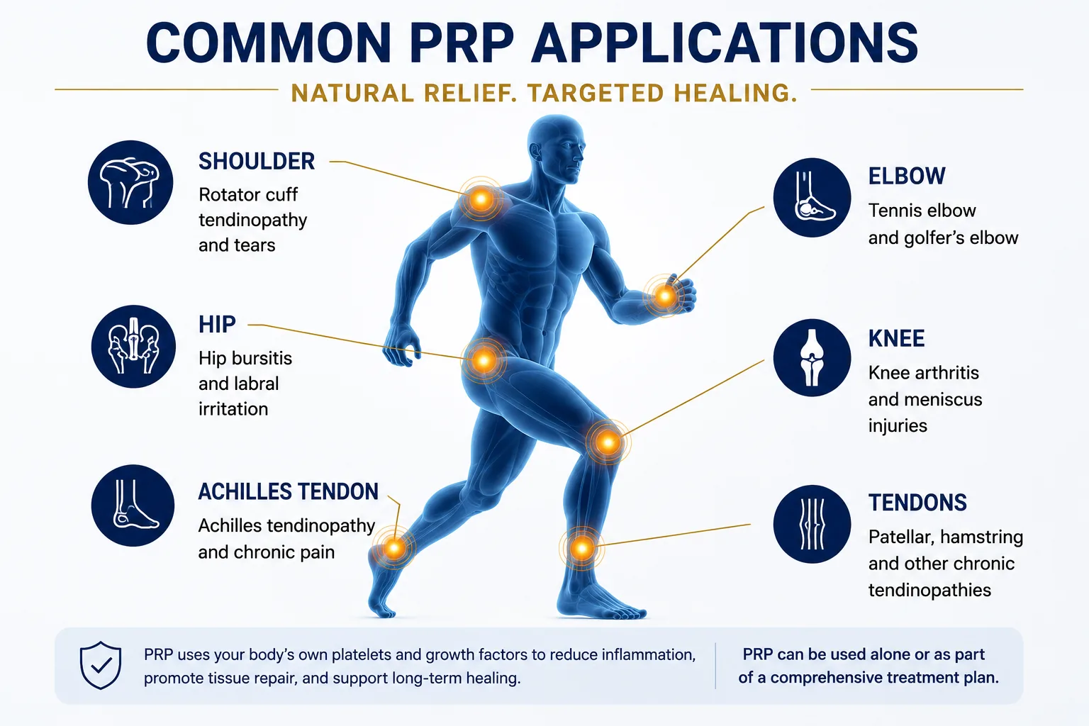 Common PRP applications infographic