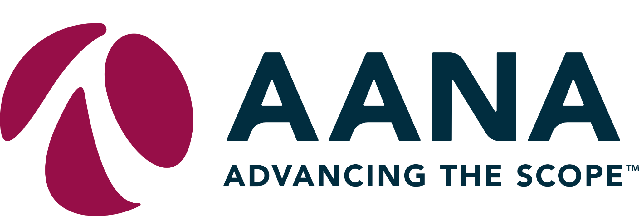 Arthroscopy Association of North America