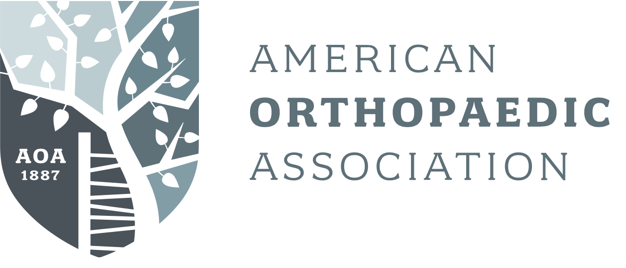 American Orthopaedic Association